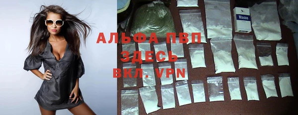гашик Каменка