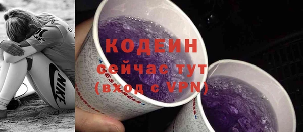 гашик Каменка