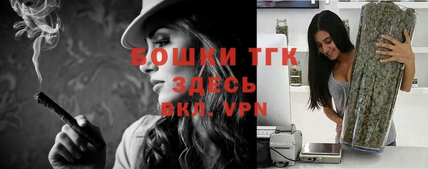 спиды Инта