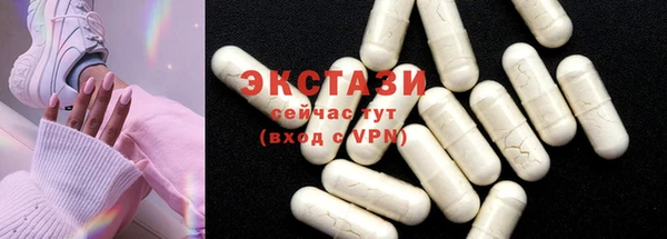 гашик Каменка