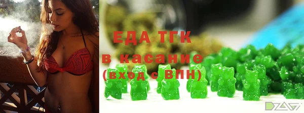 гашик Каменка
