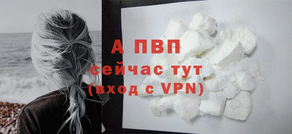 гашик Каменка