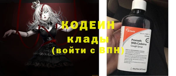 гашик Каменка