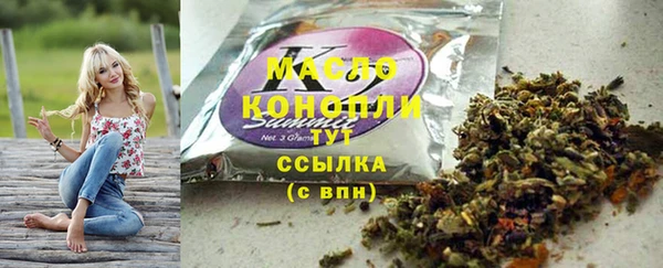дмт Каменногорск