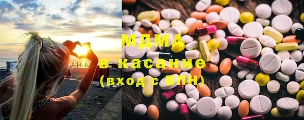 гашик Каменка
