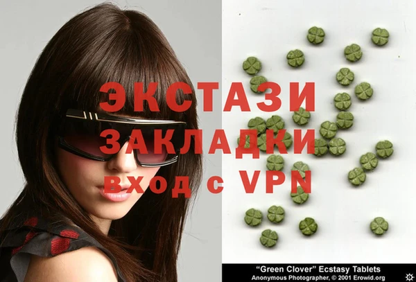 гашик Каменка