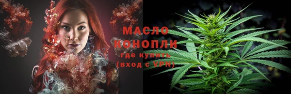 гашик Каменка