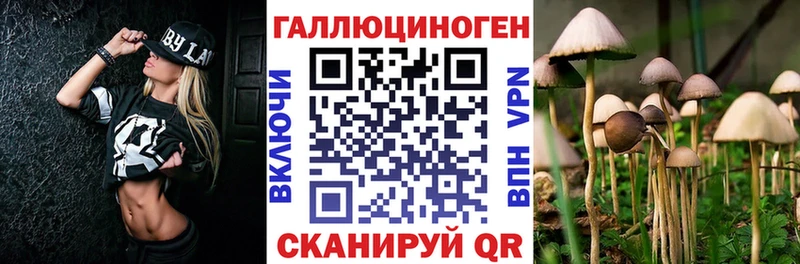 Псилоцибиновые грибы Psilocybe Купить Нахабино